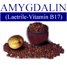 Featured Product - Amygdalin